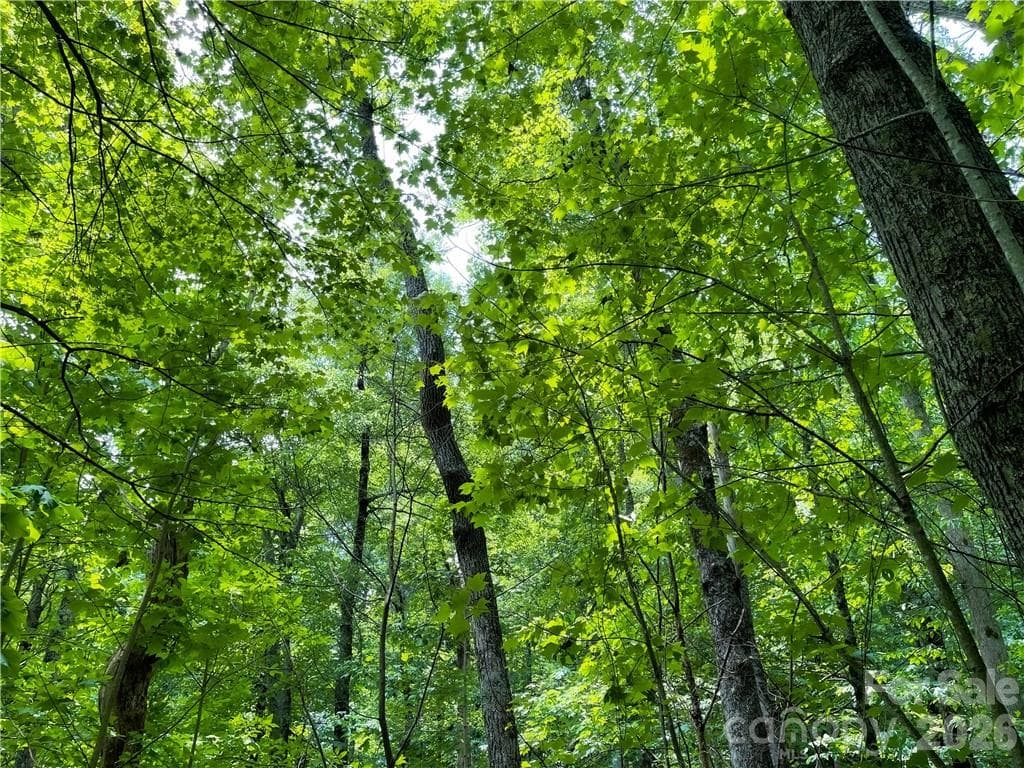 Lot at L-36 Saint Moritz Lane, Spruce Pine, photo 12 of 13