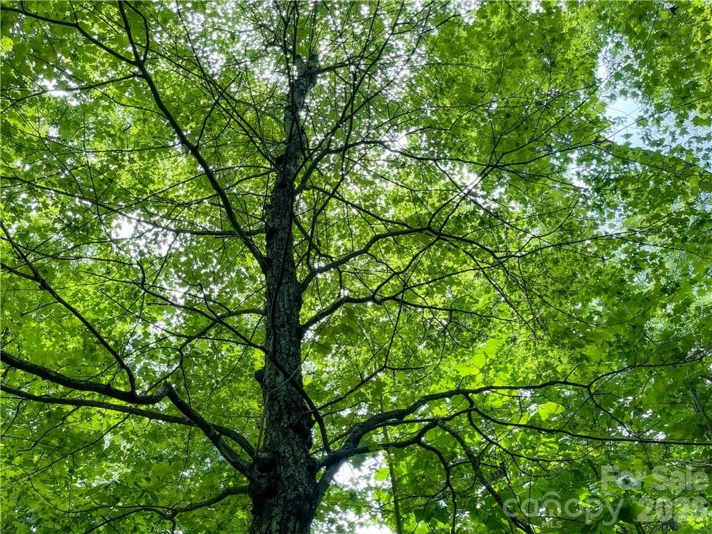 Lot at L-36 Saint Moritz Lane, Spruce Pine, photo 13 of 13