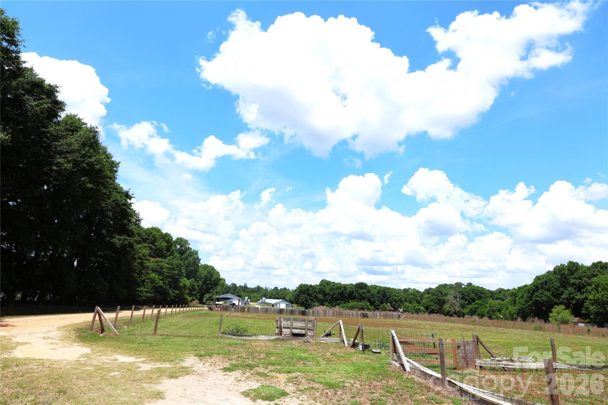Farm at 2121 Whitetail Road, Blackville, photo 11 of 41