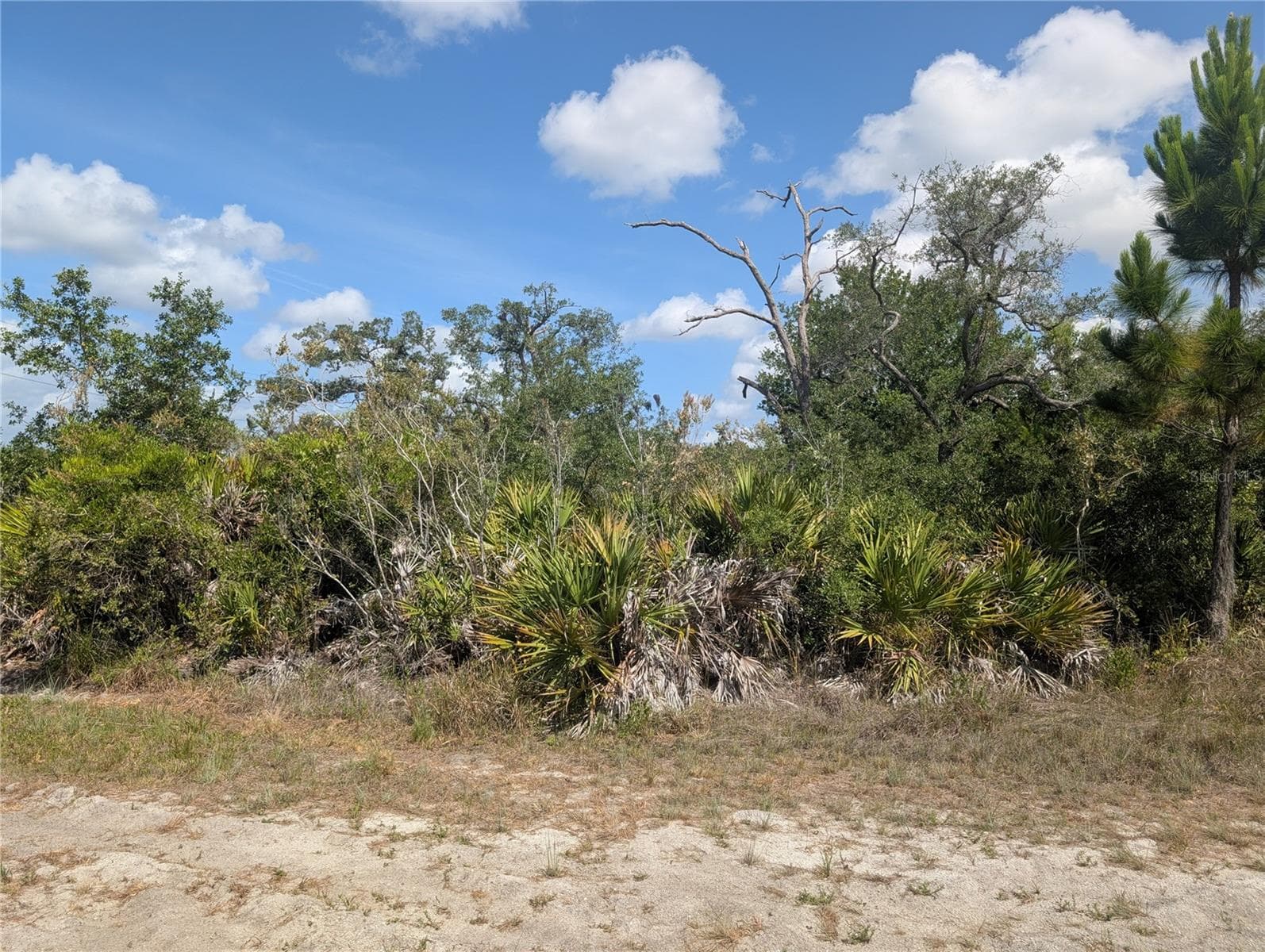 LAKELAND DR