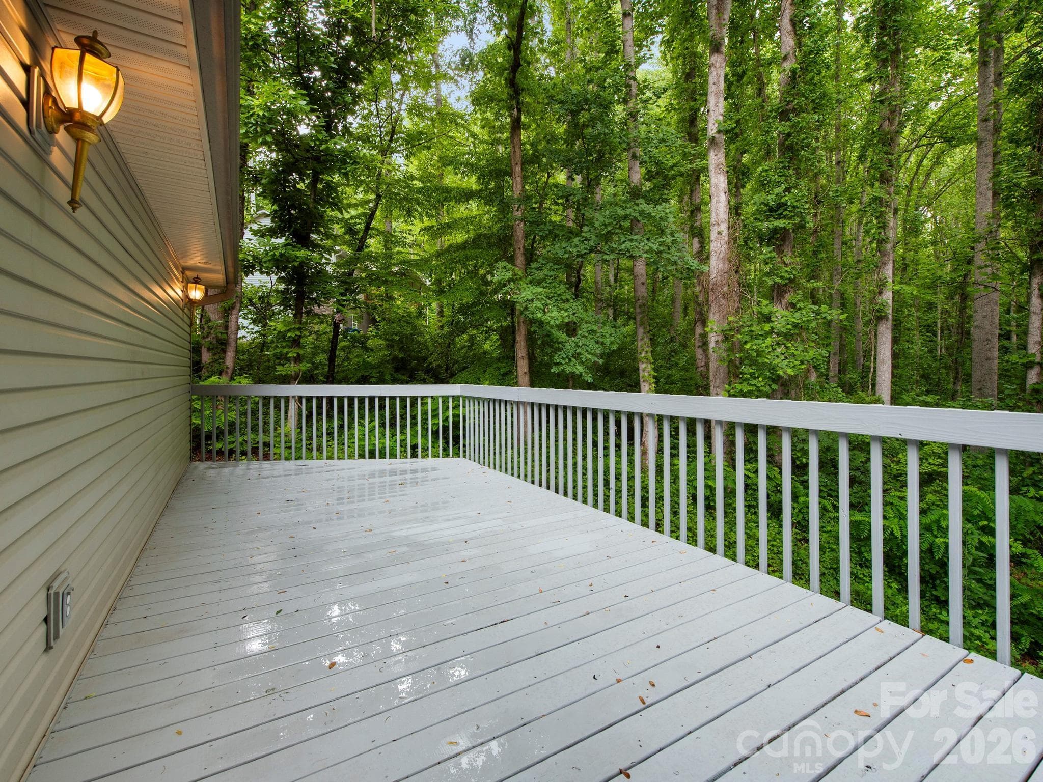 Rear upper deck - 37 Leatherwood Drive, Candler