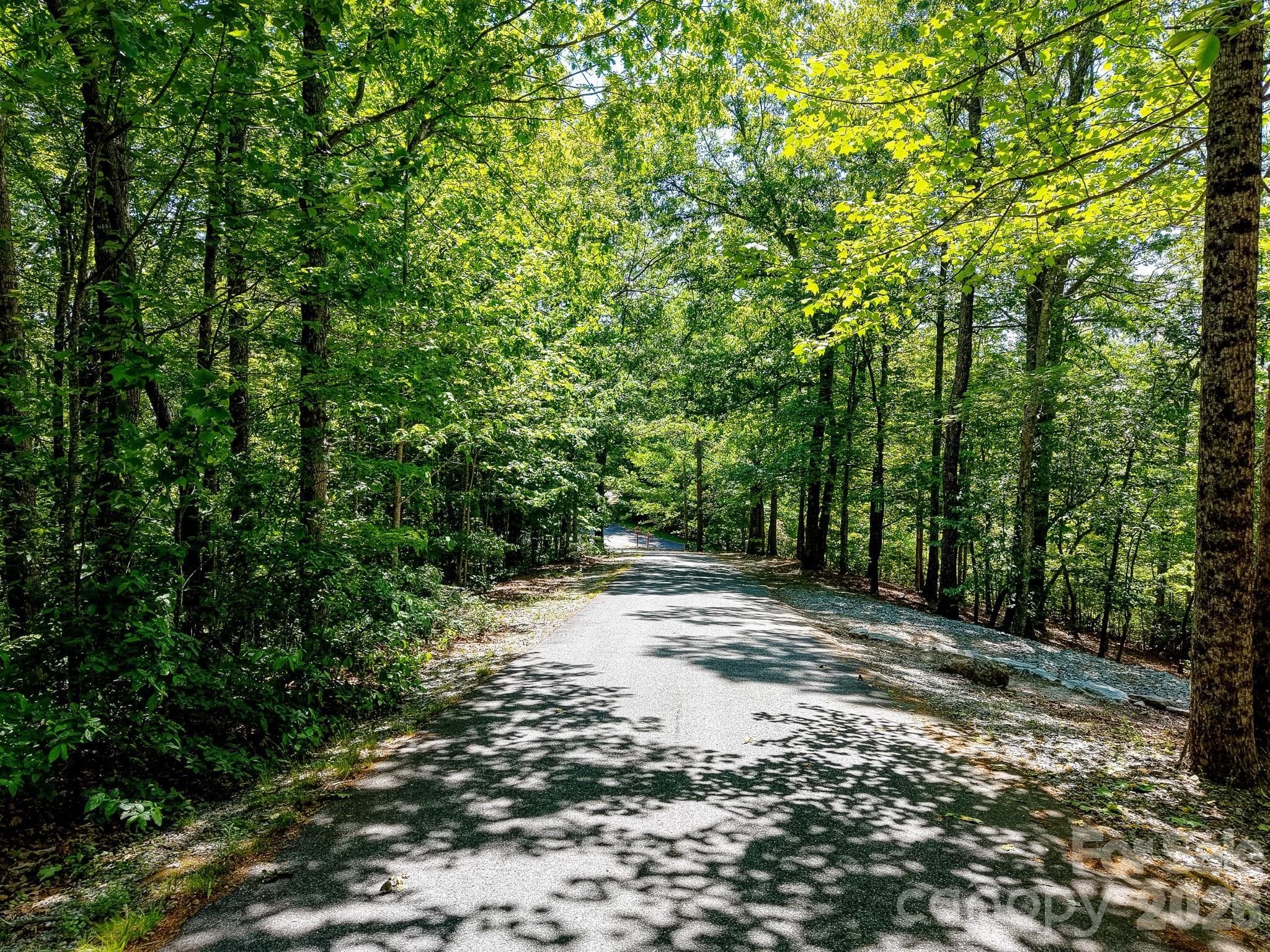 Lot at 99999 Black Bear Ridge Trail, Zirconia, photo 2 of 27