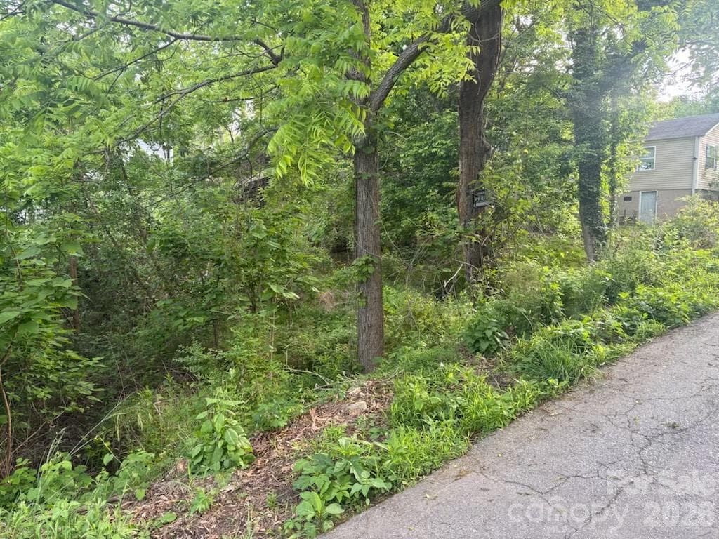 Acreage at Asheville, photo 2 of 7