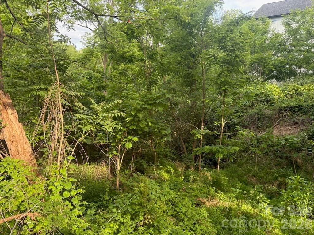 Acreage at Asheville, photo 5 of 7