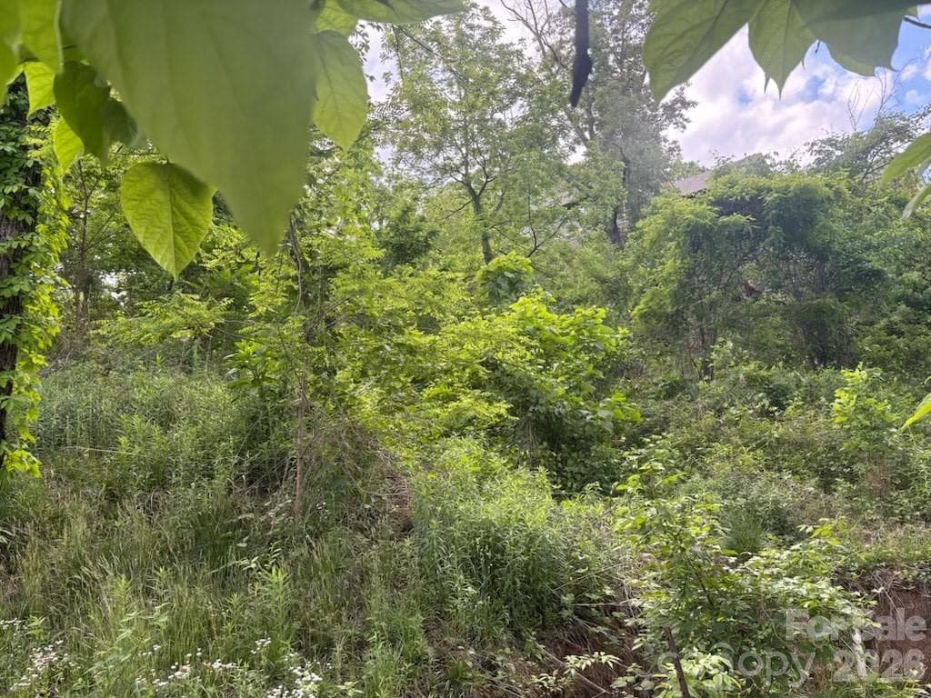 Acreage at Asheville, photo 6 of 7