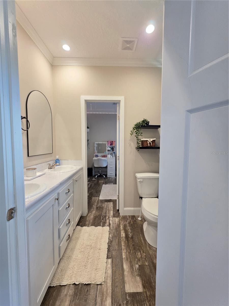 Jack & Jill bathroom - 10617 SKEWLEE GARDENS DR, THONOTOSASSA