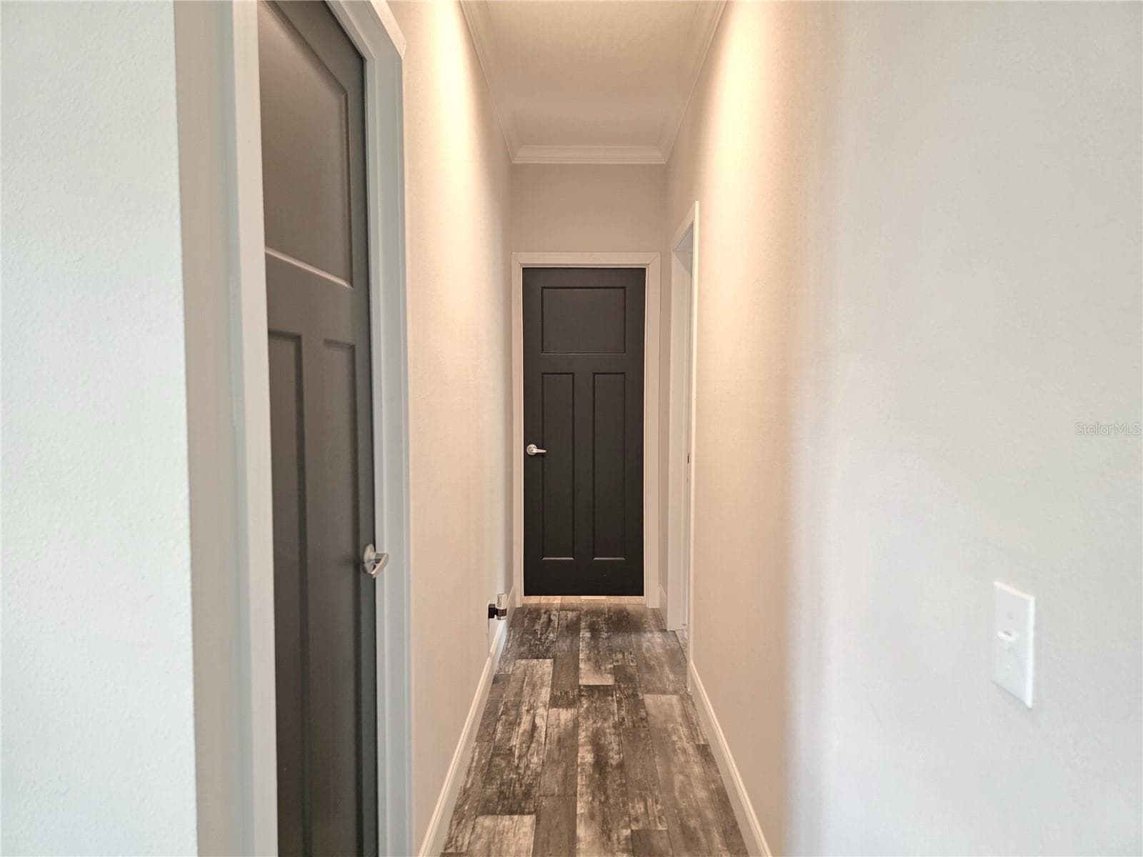 Hallway - 10617 SKEWLEE GARDENS DR, THONOTOSASSA