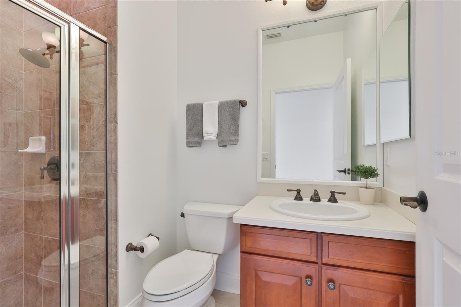 downstairs pool / guest full bath - 5318 LOON NEST CT, APOLLO BEACH