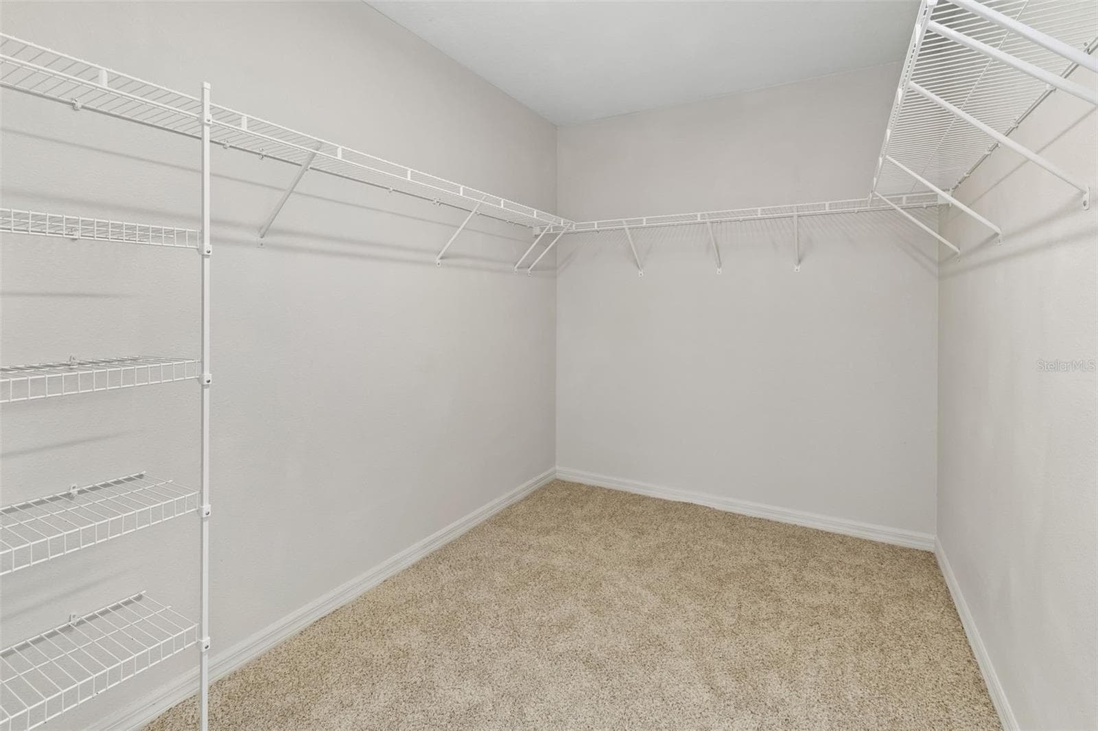 Walk In Closet - 1192 MULTIFLORA LOOP, LUTZ