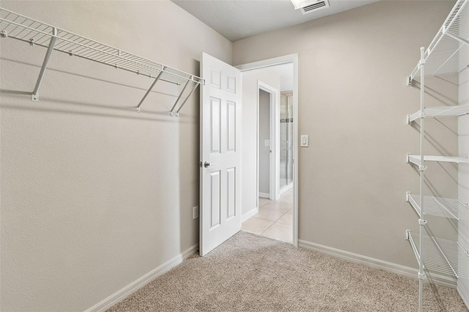 Walk In Closet - 1192 MULTIFLORA LOOP, LUTZ