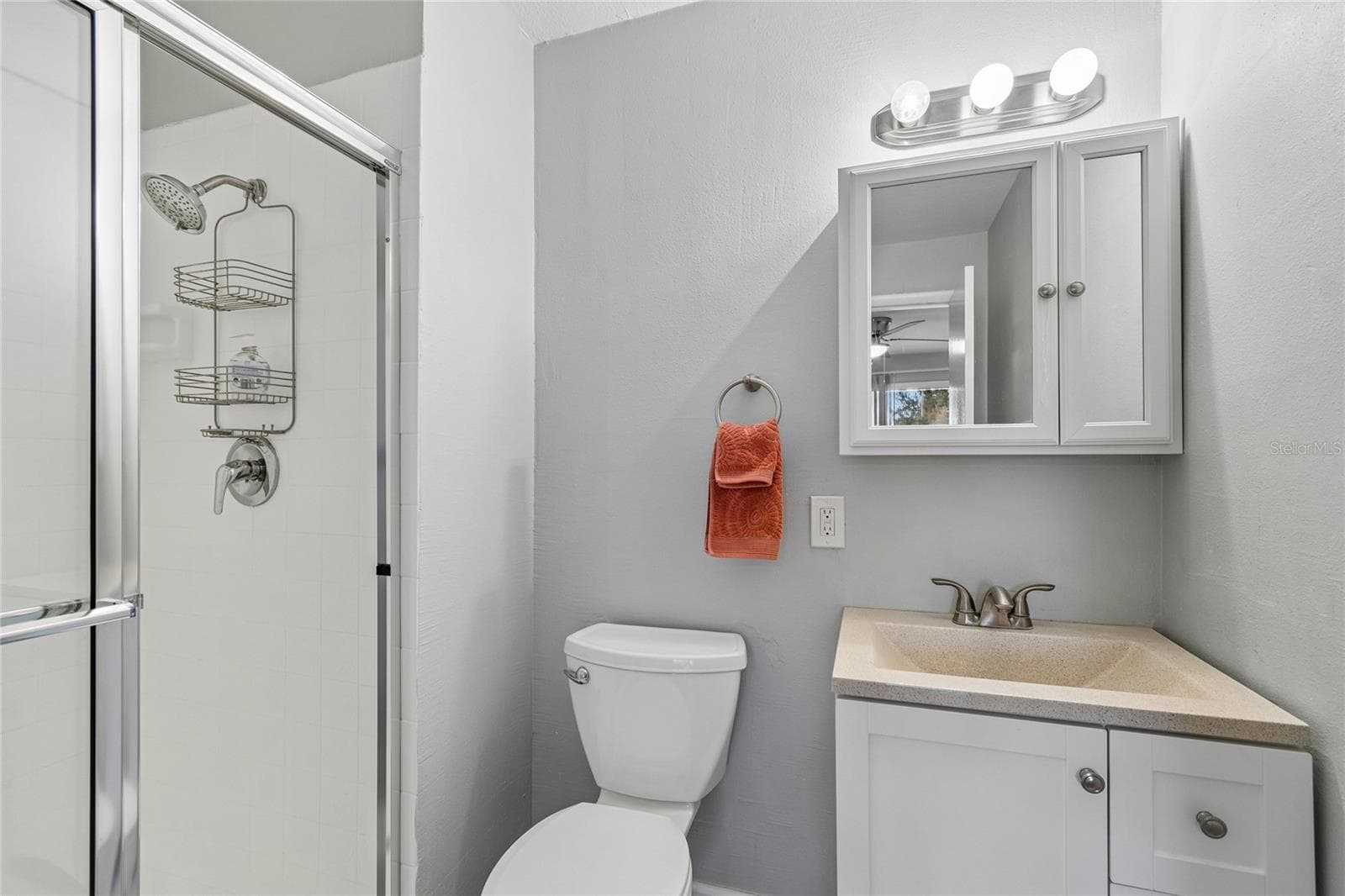 Primary En-Suite Bath - 7324 STONE HAVEN CT N, PINELLAS PARK
