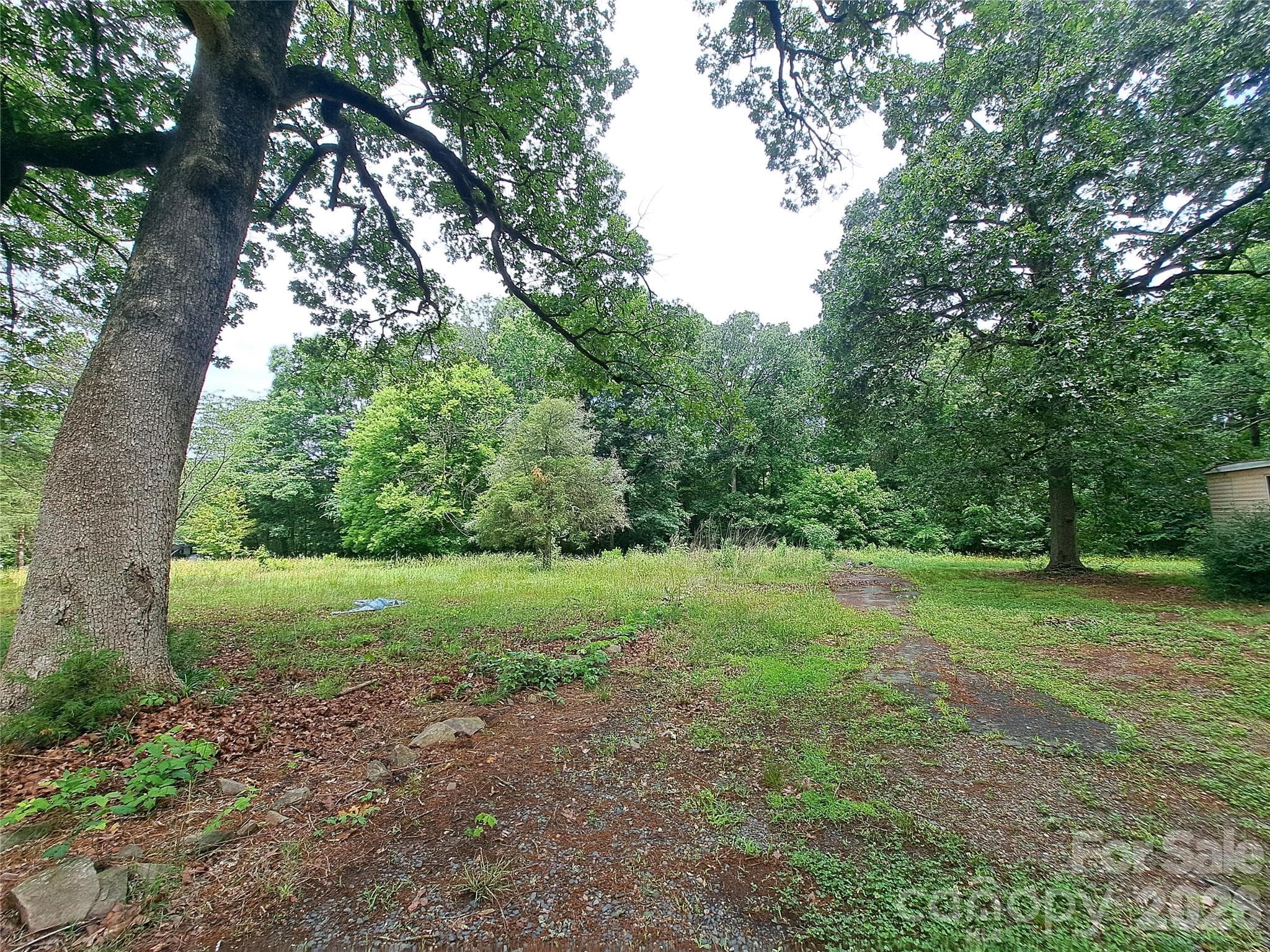 Acreage at 155 Peggy Lane, Rockwell, photo 4 of 6