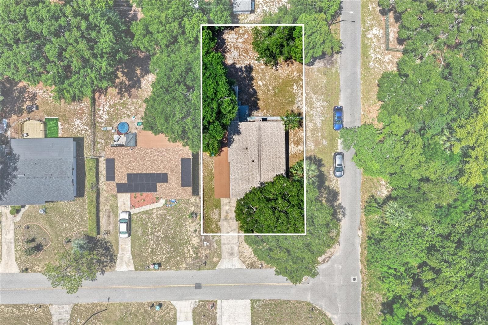 Property line next to dense woods - 529 E GOTTSCHE AVE, EUSTIS