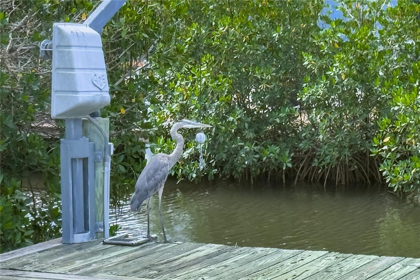 Single Family Residence at 4517 8TH STREET CT E, ELLENTON, photo 9 of 67