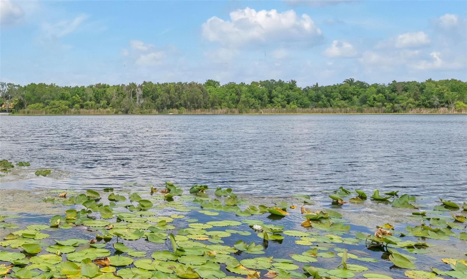 Beautiful views of Ski lake Spier - 1841 LAKE SPIER DRIVE, WINTER PARK
