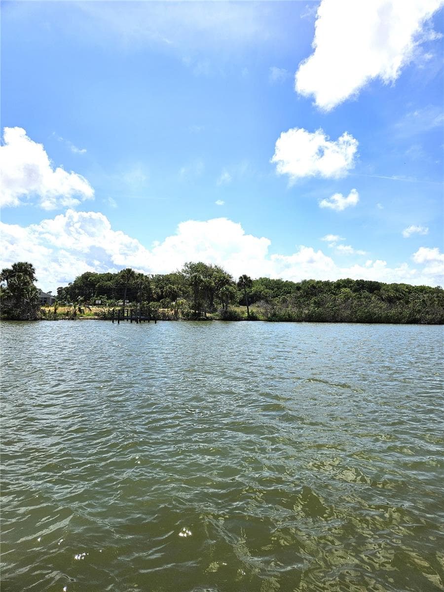 Land at 185 JONES FISH CAMP RD, EDGEWATER, photo 10 of 15