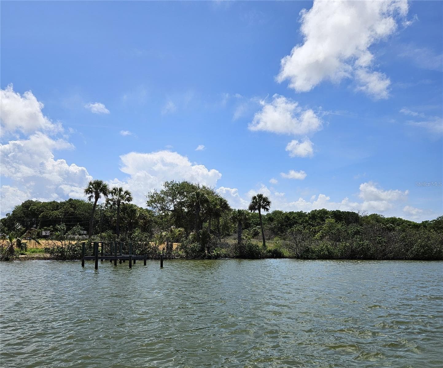 Land at 185 JONES FISH CAMP RD, EDGEWATER, photo 12 of 15
