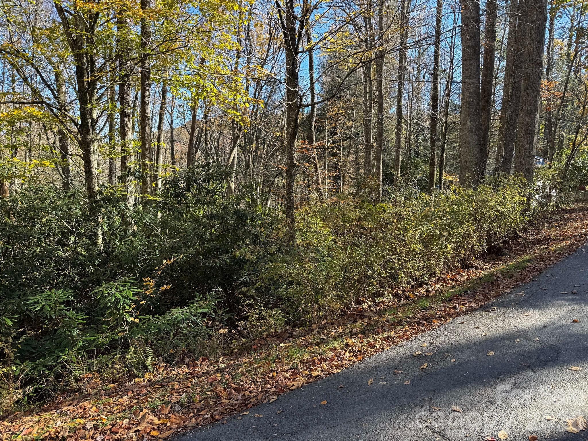 Lot at TBD Hews Circle, Blowing Rock, photo 4 of 5
