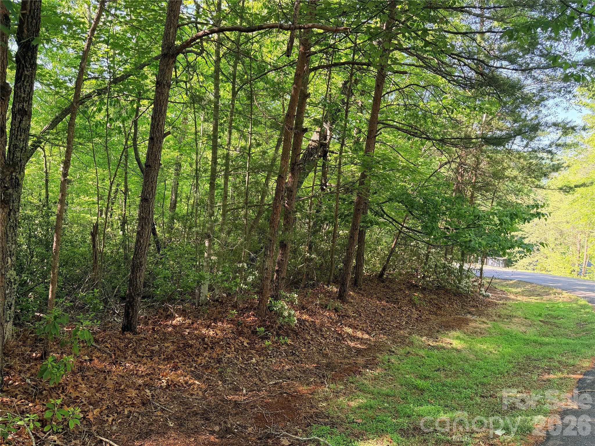 Lot at Lake Lure, photo 2 of 25