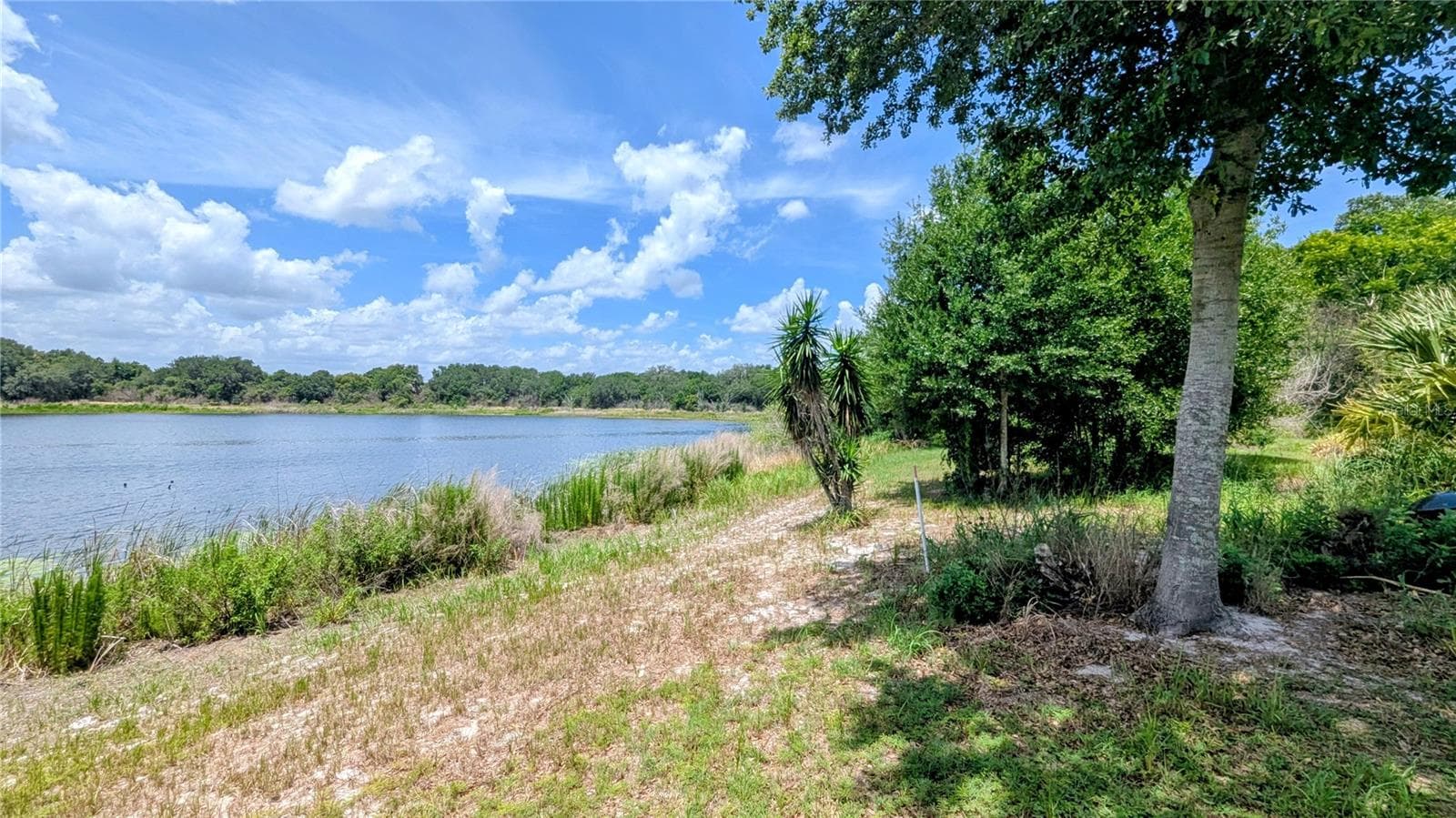 Land at 1100 PENINSULAR DR, LAKE WALES, photo 21 of 24