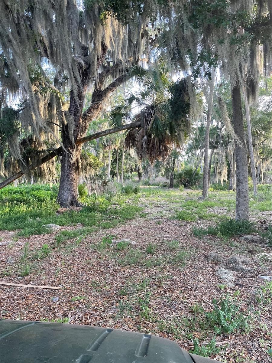 Land at LAKE MARION RD W, HAINES CITY, photo 5 of 15
