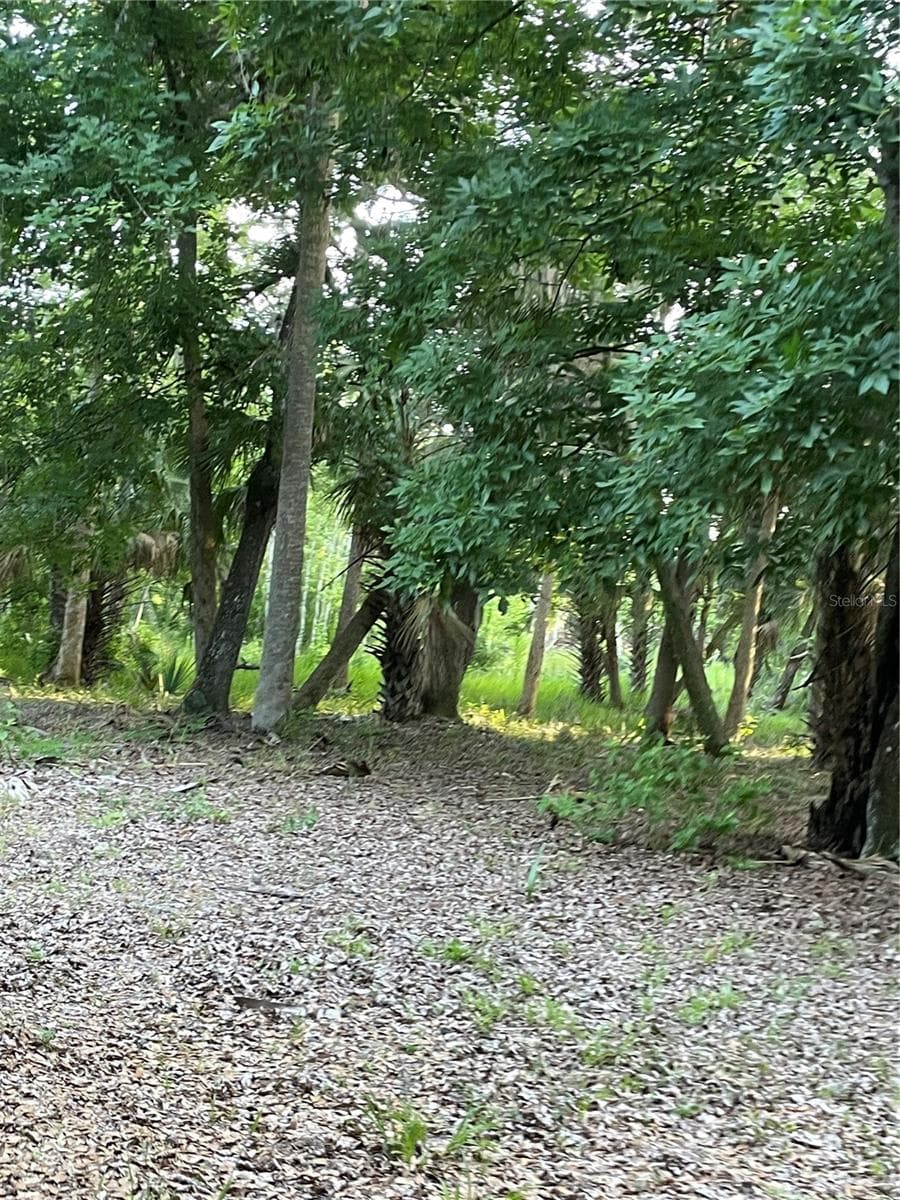 Land at LAKE MARION RD W, HAINES CITY, photo 11 of 15