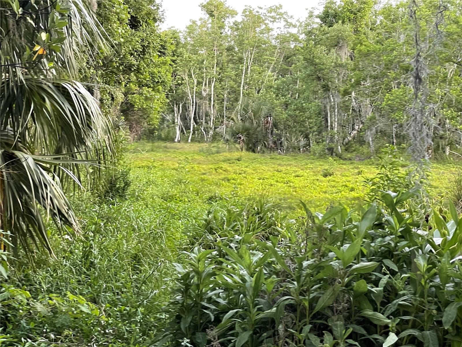 Land at LAKE MARION RD W, HAINES CITY, photo 12 of 15