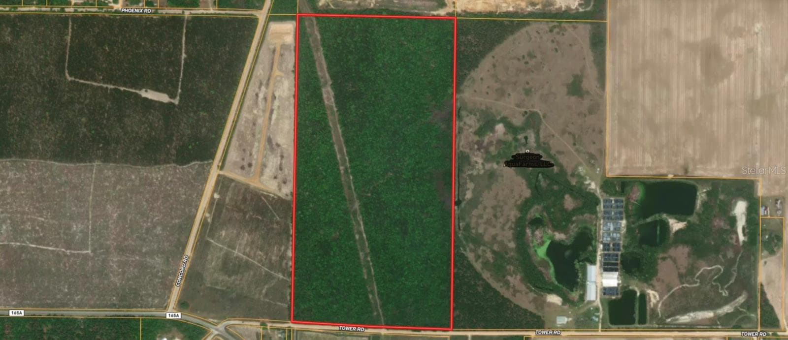 property outline - TBD TOWER RD, BASCOM