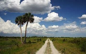Land at 20174 NW 268TH ST, OKEECHOBEE, photo 11 of 13