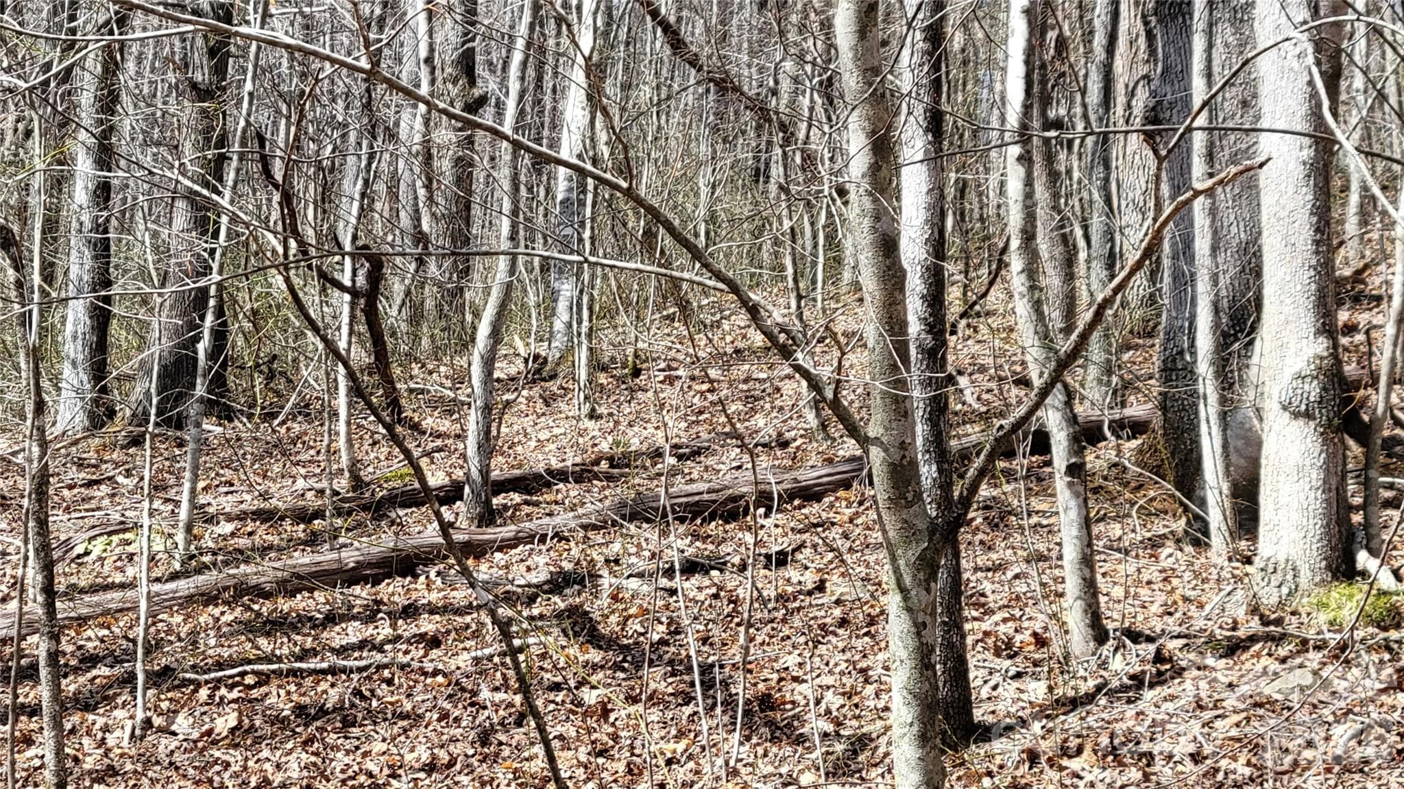 Lot at Burnsville, photo 11 of 20