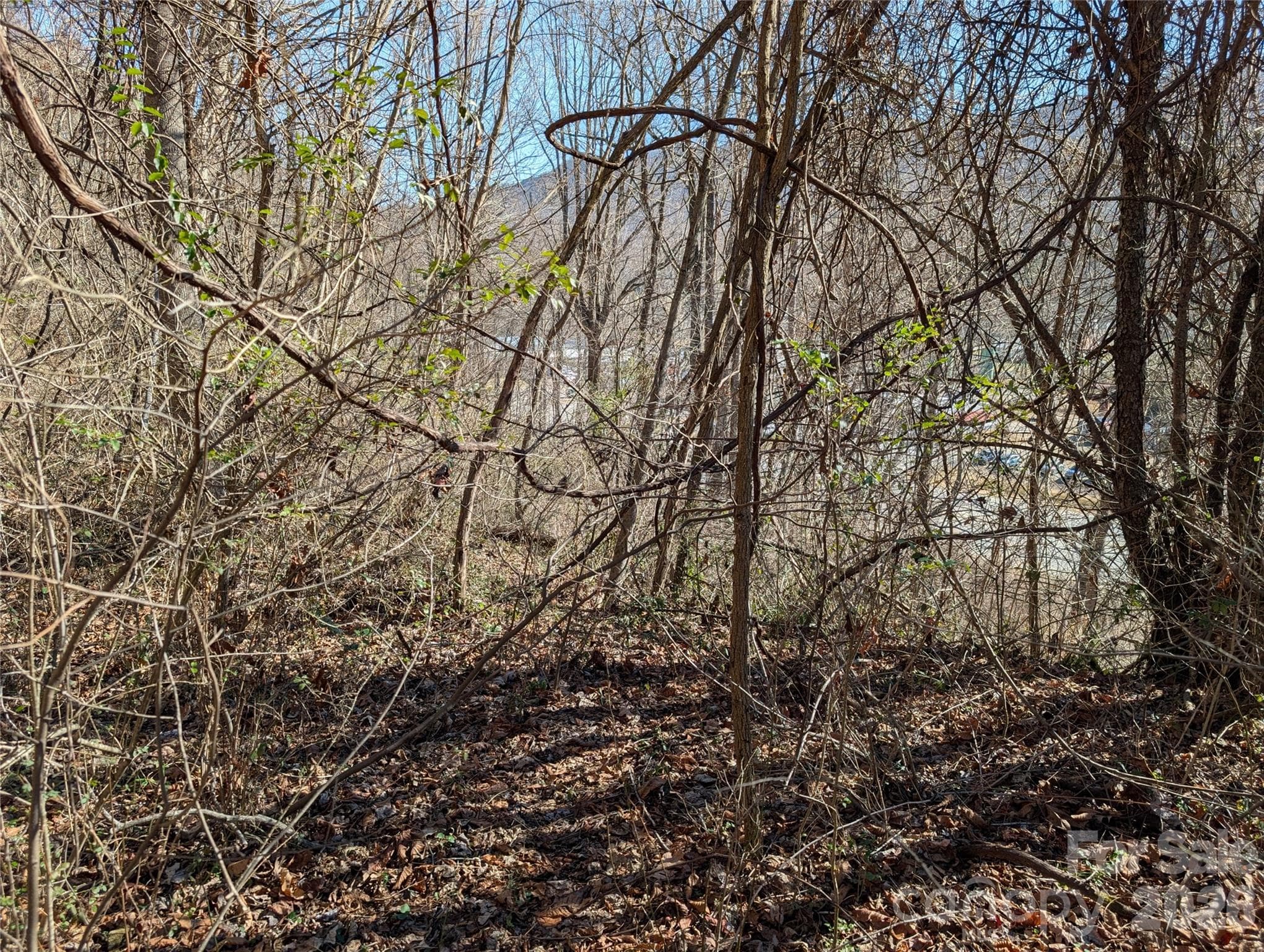 Unimproved Commercial at Waynesville, photo 5 of 6