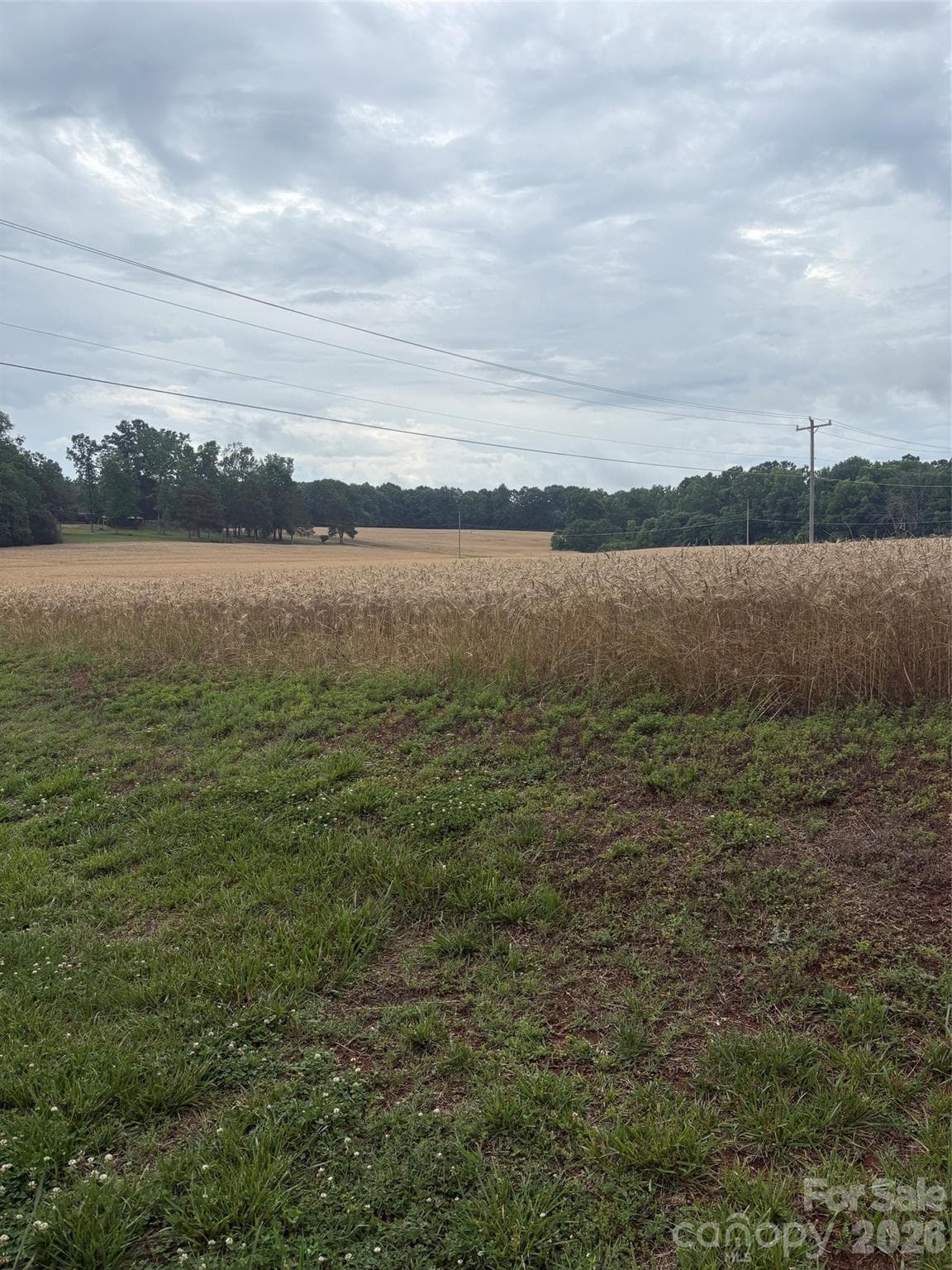 Acreage at Monroe, photo 2 of 4