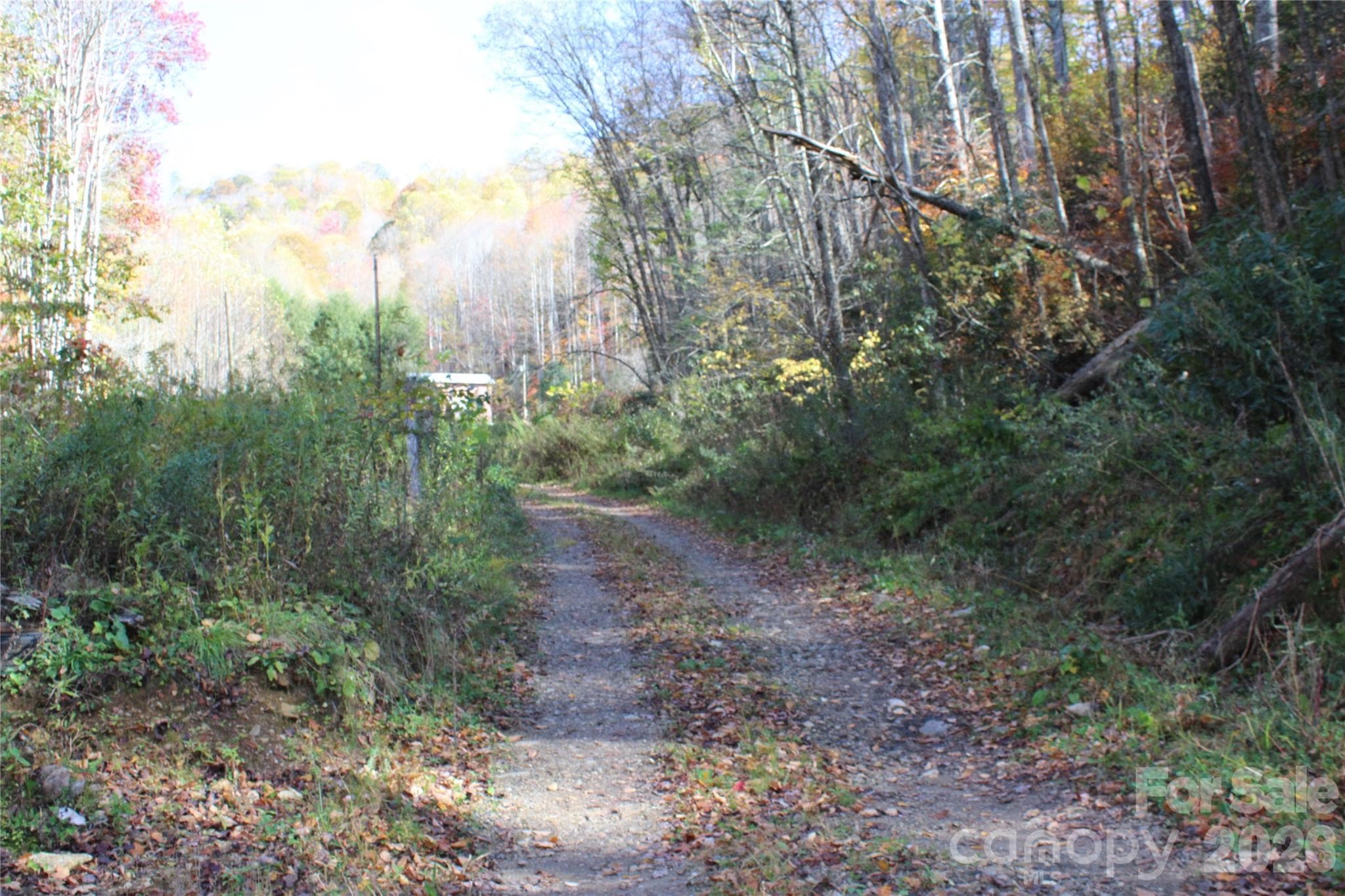 Acreage at Bakersville, photo 4 of 18