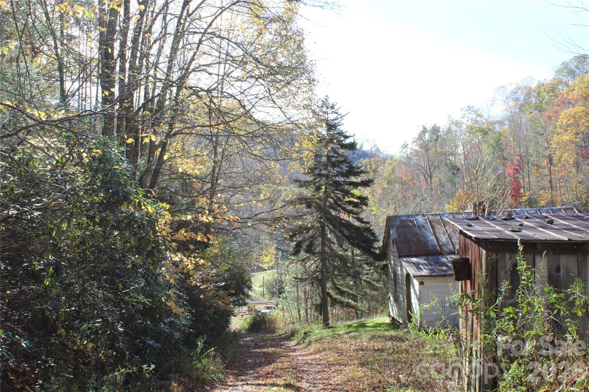 Acreage at Bakersville, photo 3 of 18