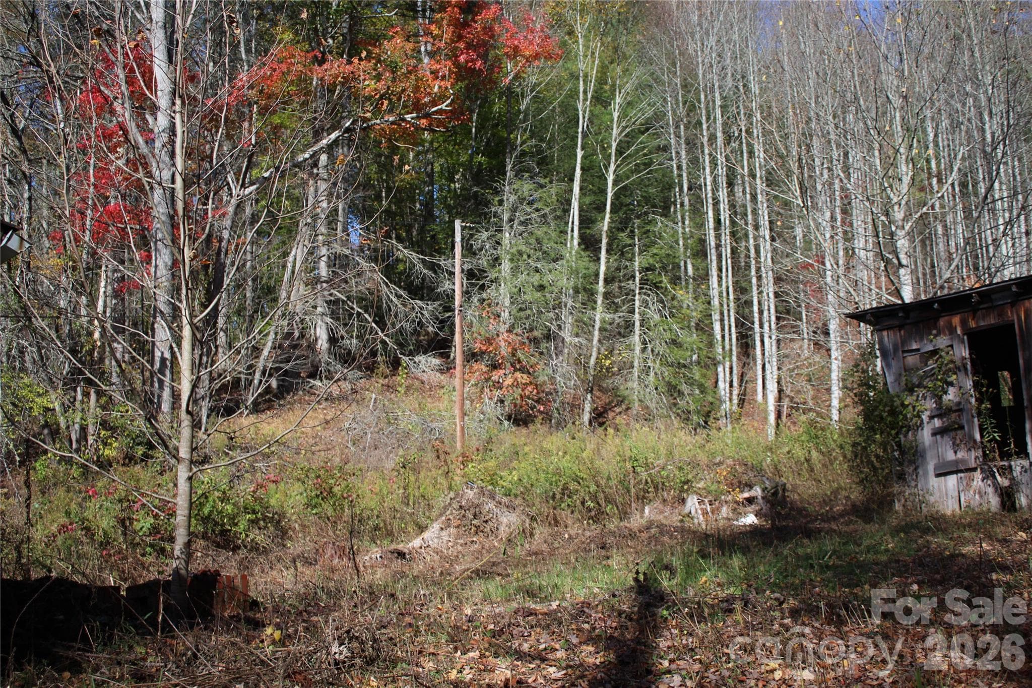 Acreage at Bakersville, photo 2 of 18