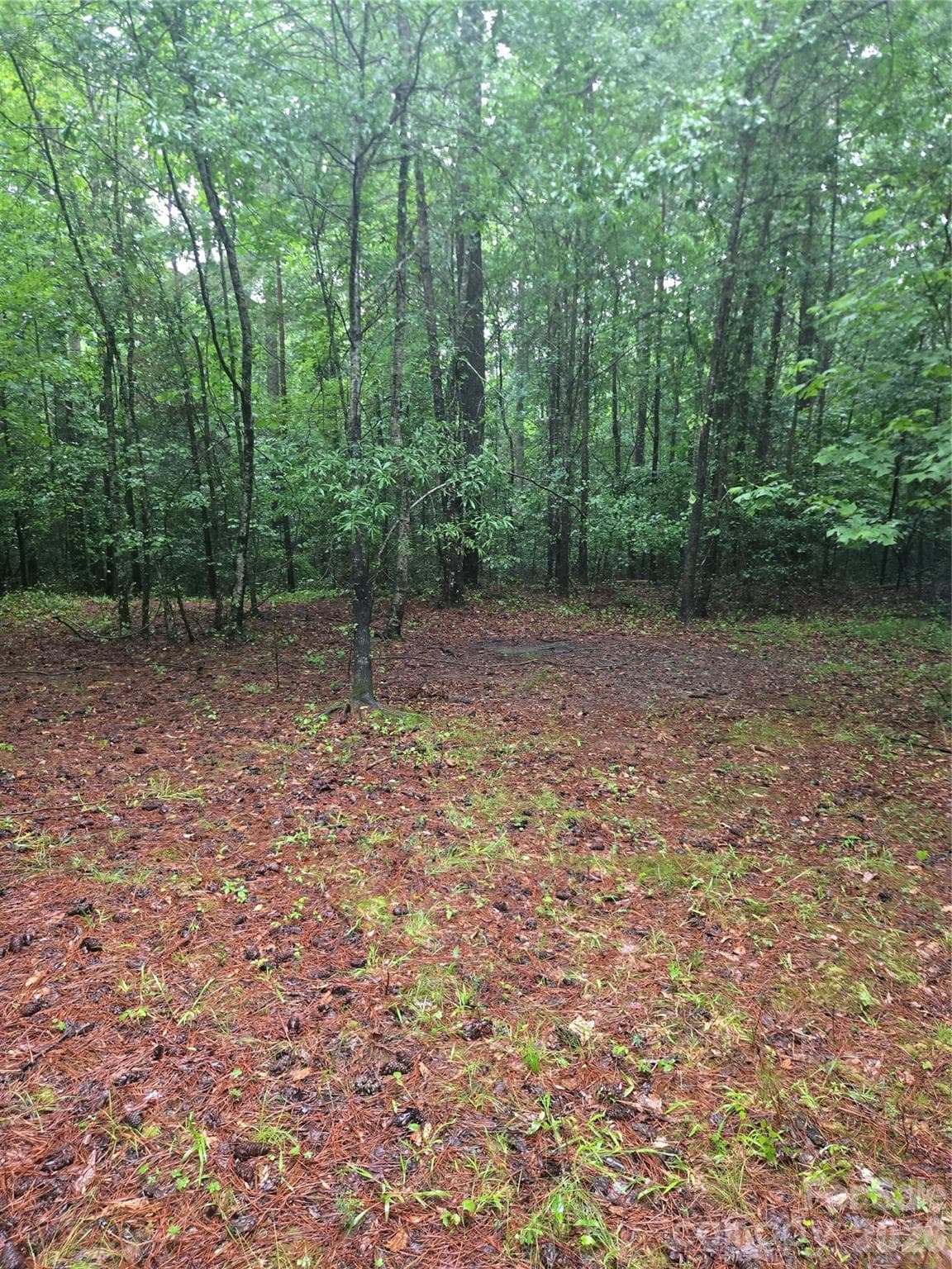Acreage at Mooresboro, photo 9 of 17