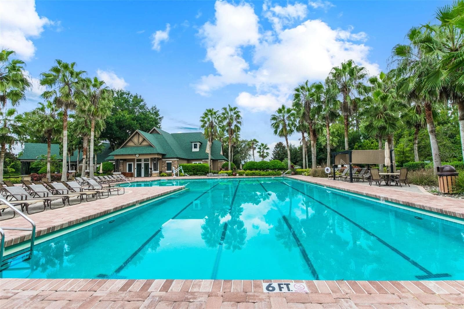 Heated Lap Pool - 21753 GARDEN WALK LOOP, LAND O LAKES