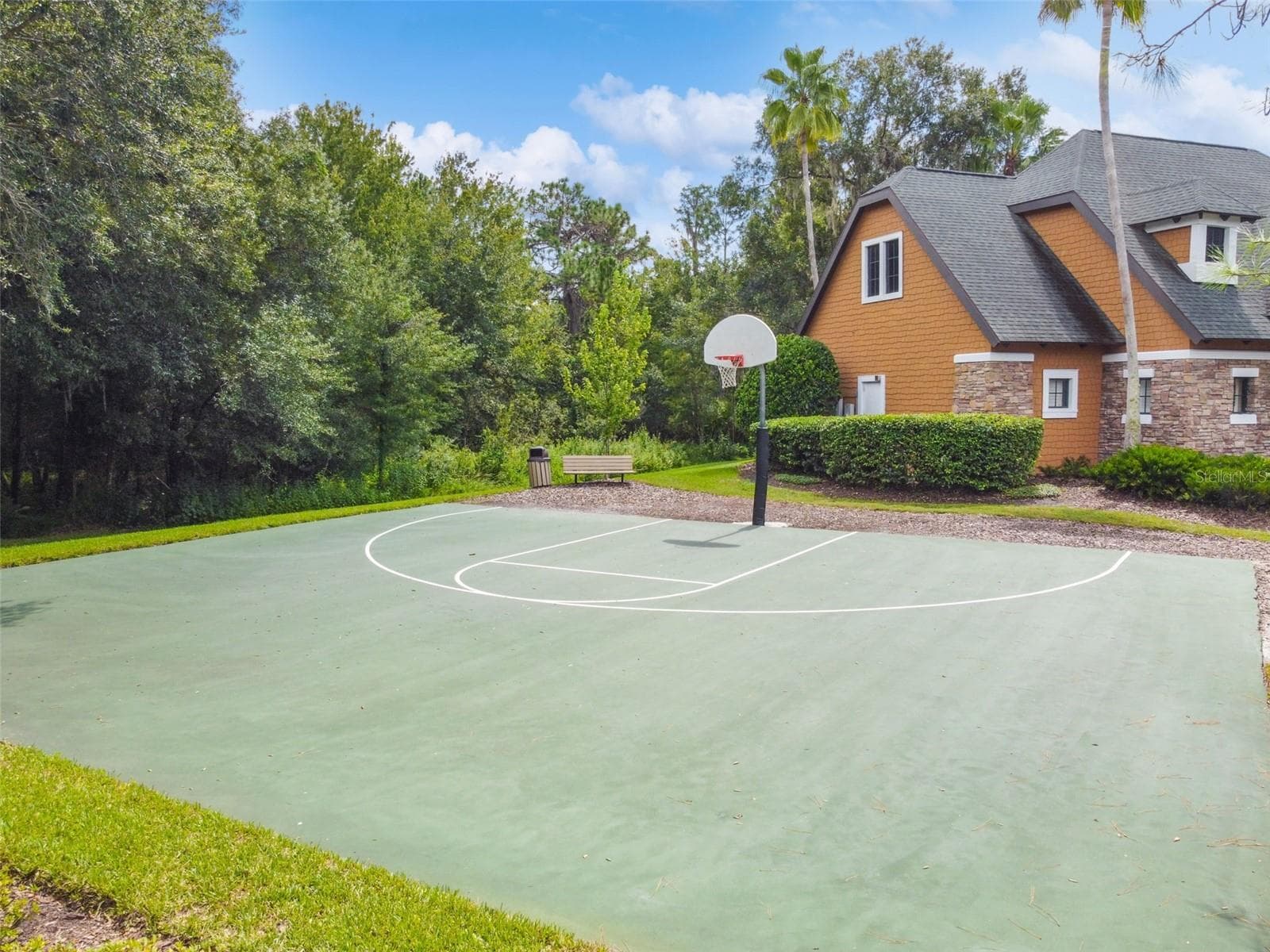 Basketball Court - 21753 GARDEN WALK LOOP, LAND O LAKES