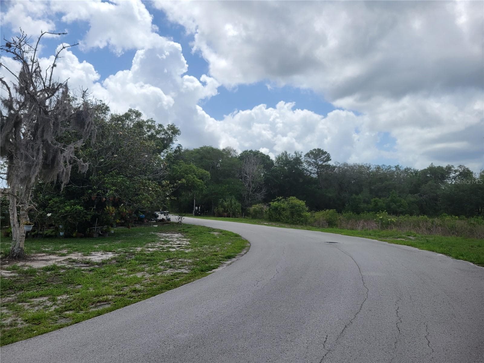 Down Lingrove - 9022 LINGROVE RD, WEEKI WACHEE