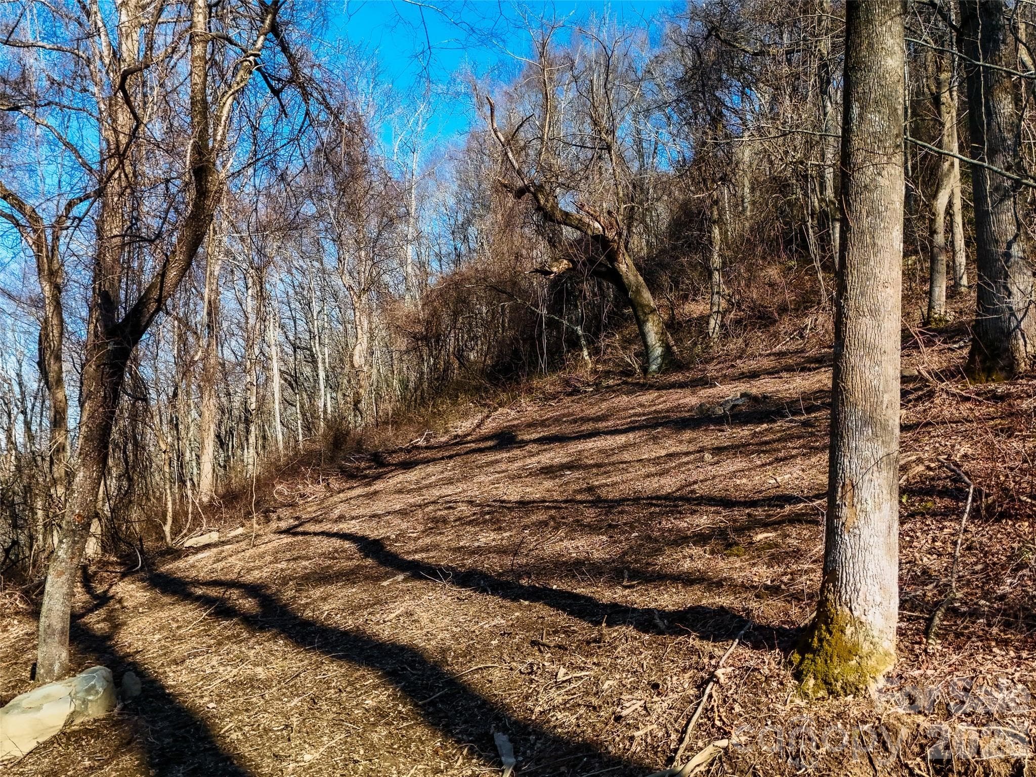Lot at Asheville, photo 11 of 30