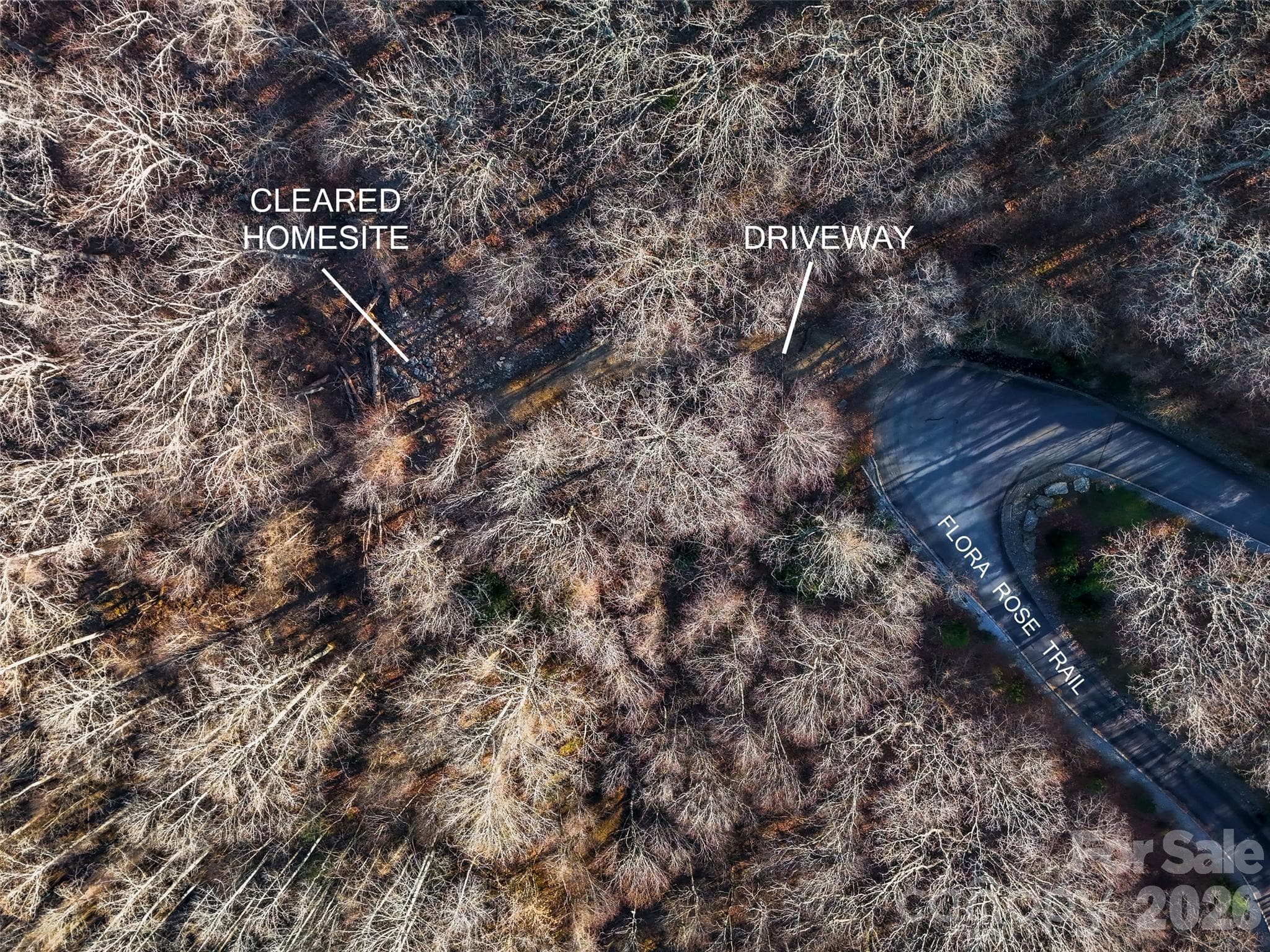 Lot at Asheville, photo 17 of 30