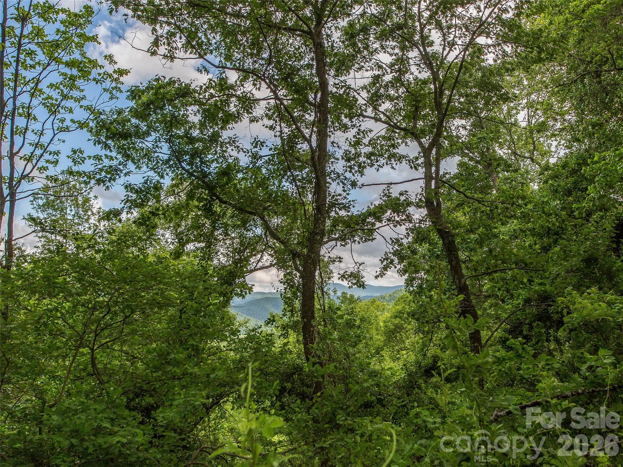 Lot at Asheville, photo 29 of 30