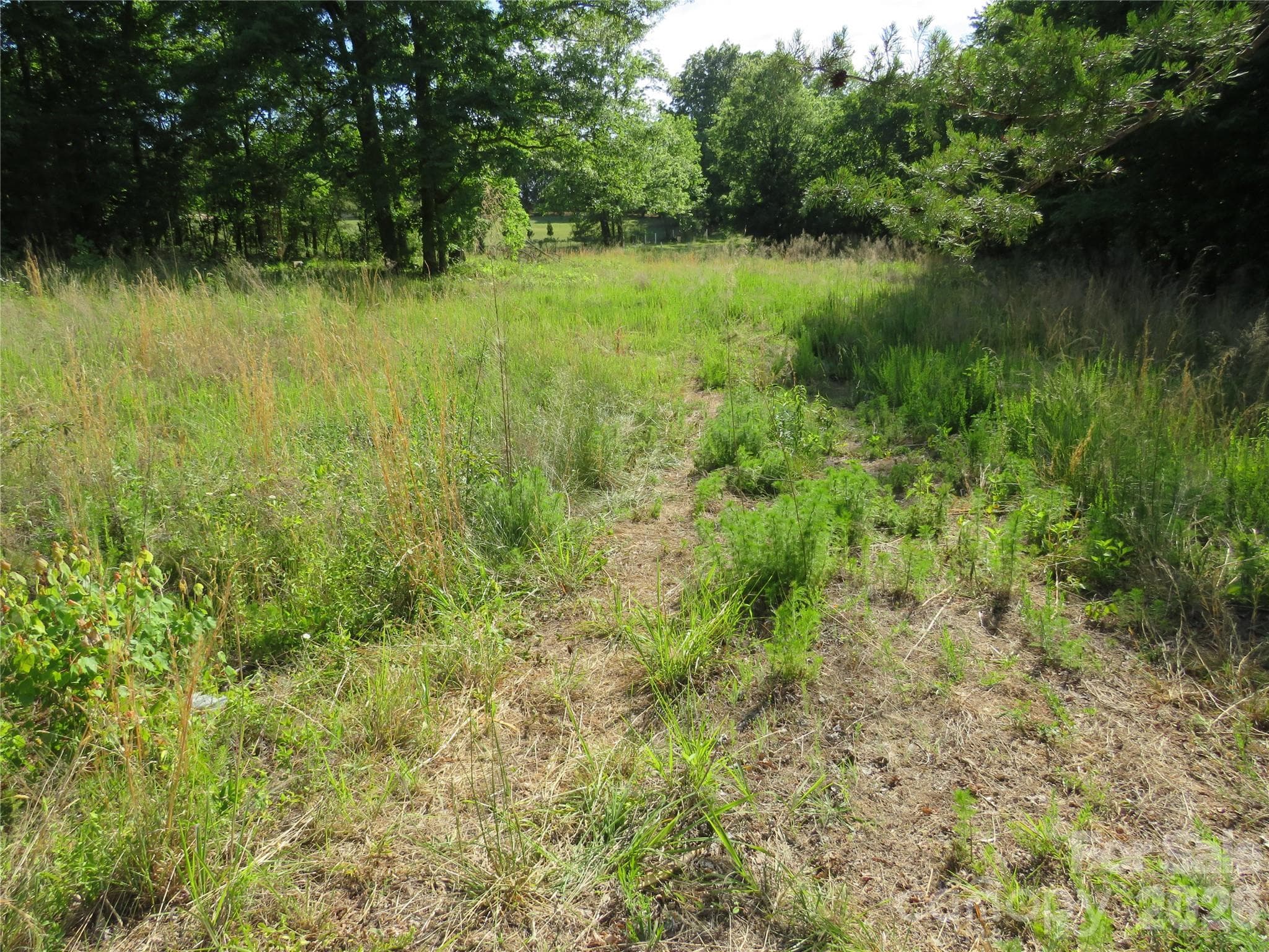 Acreage at Rutherfordton, photo 2 of 25