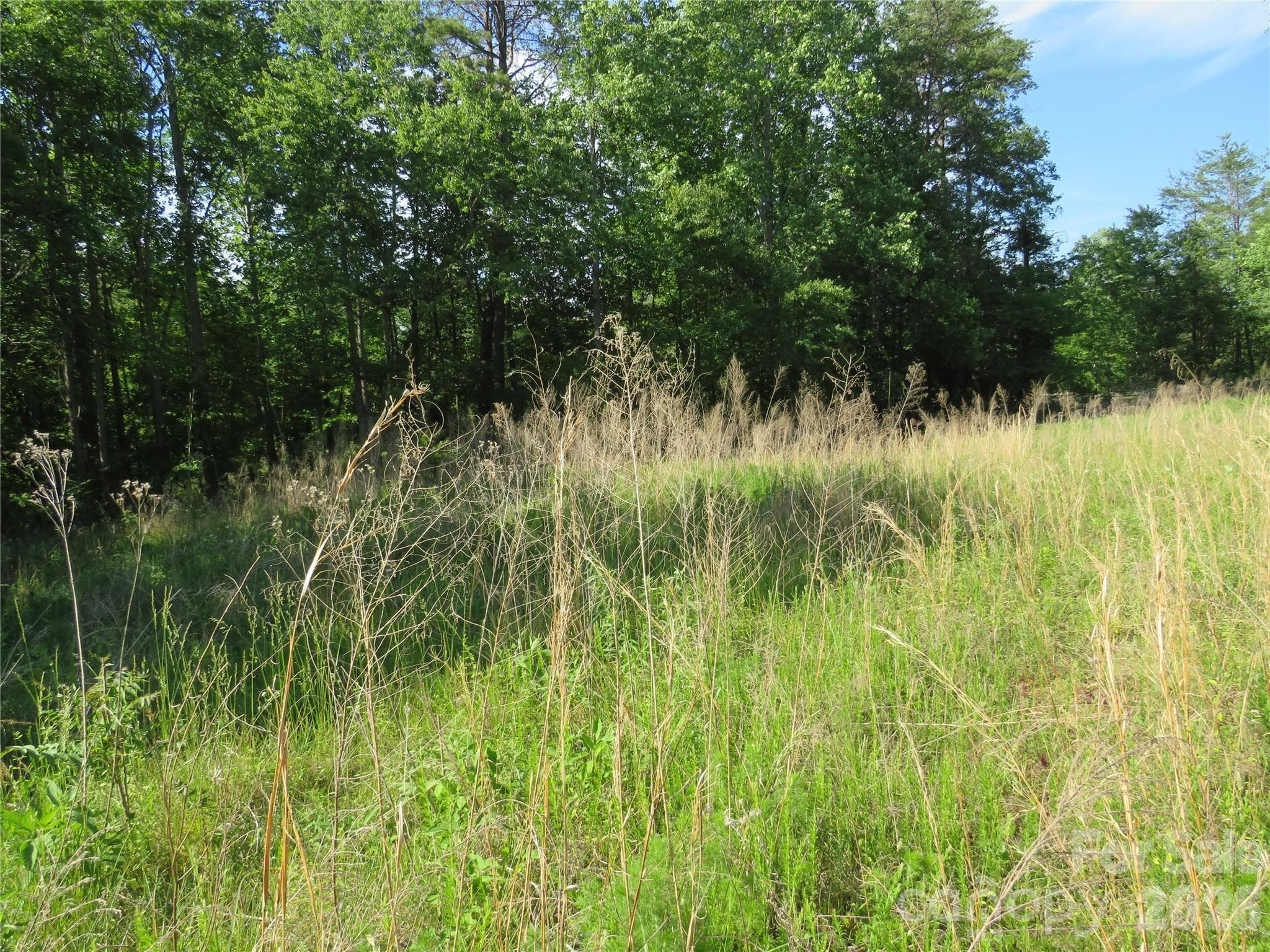 Acreage at Rutherfordton, photo 7 of 25