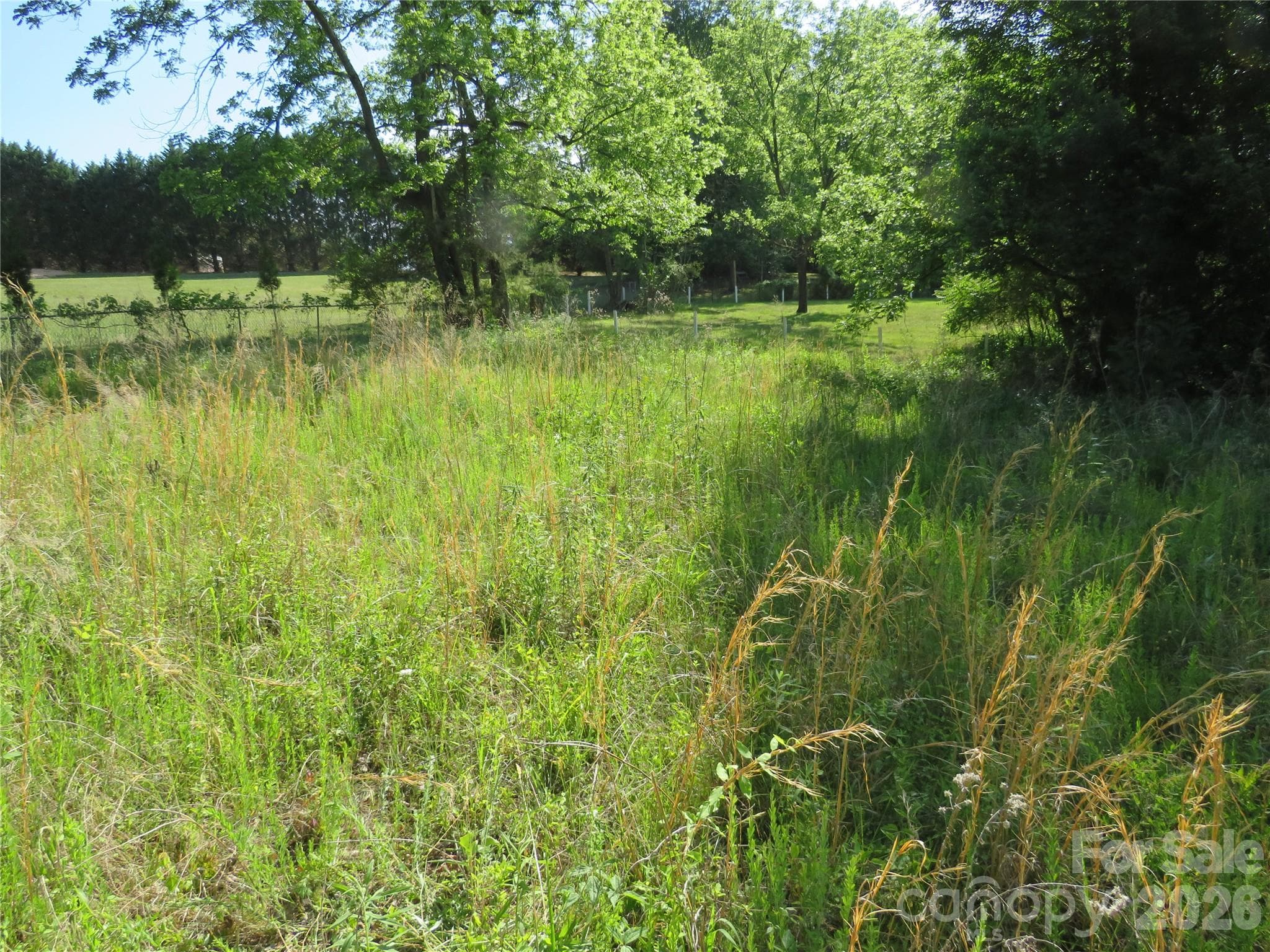 Acreage at Rutherfordton, photo 8 of 25