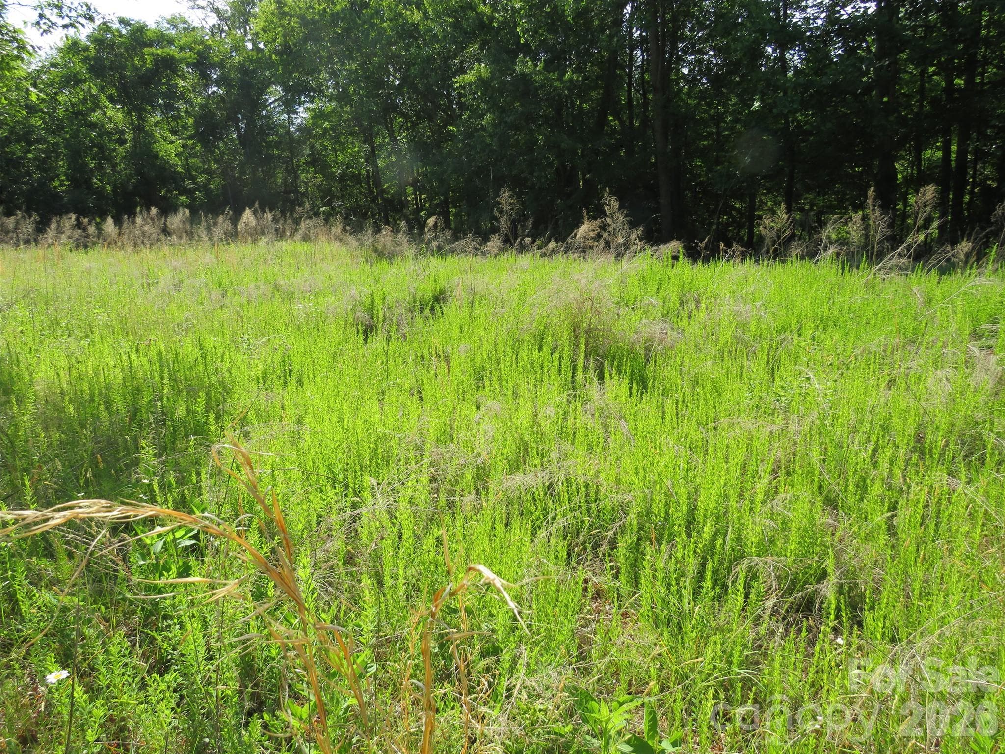 Acreage at Rutherfordton, photo 9 of 25