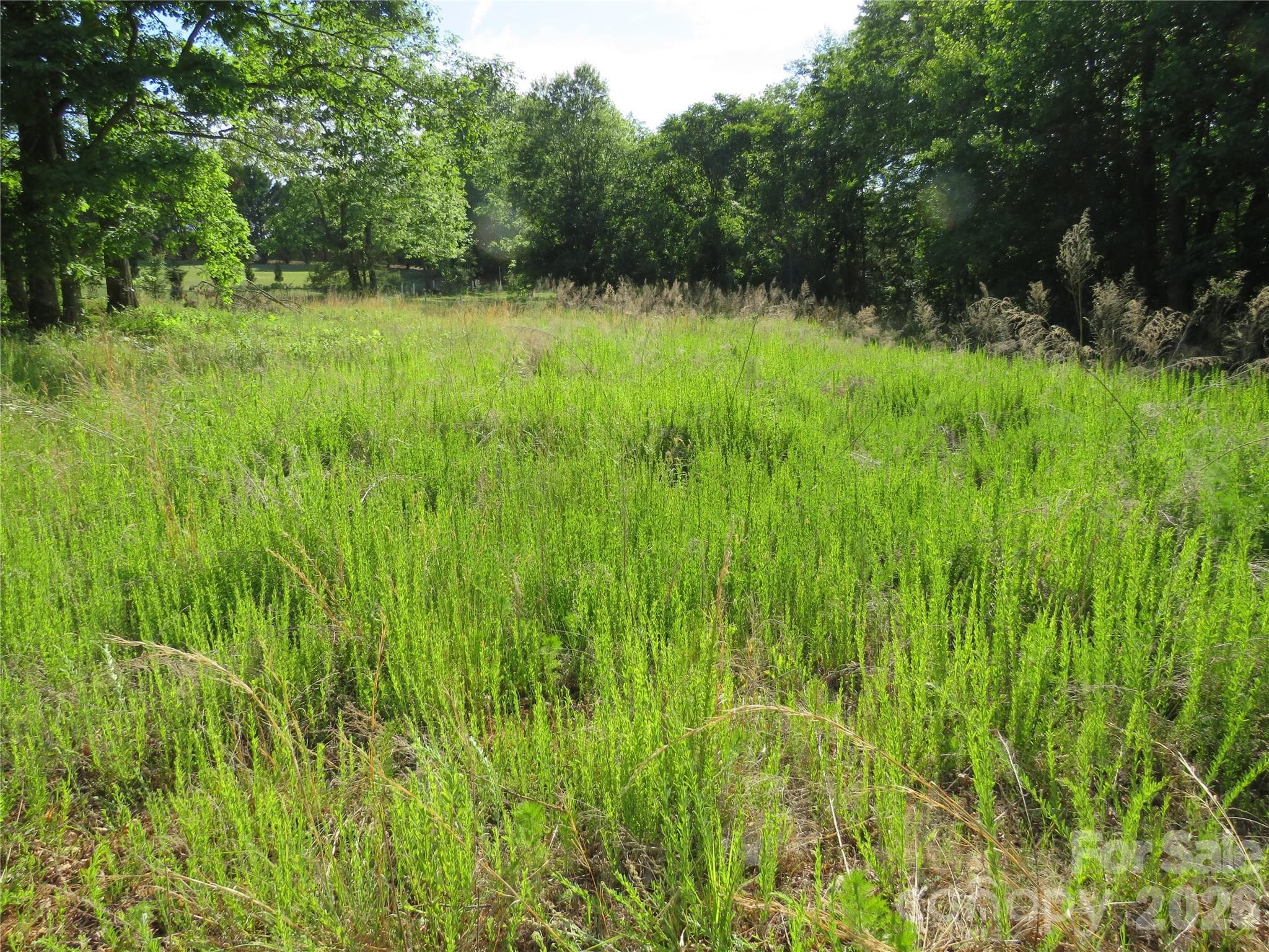 Acreage at Rutherfordton, photo 3 of 25