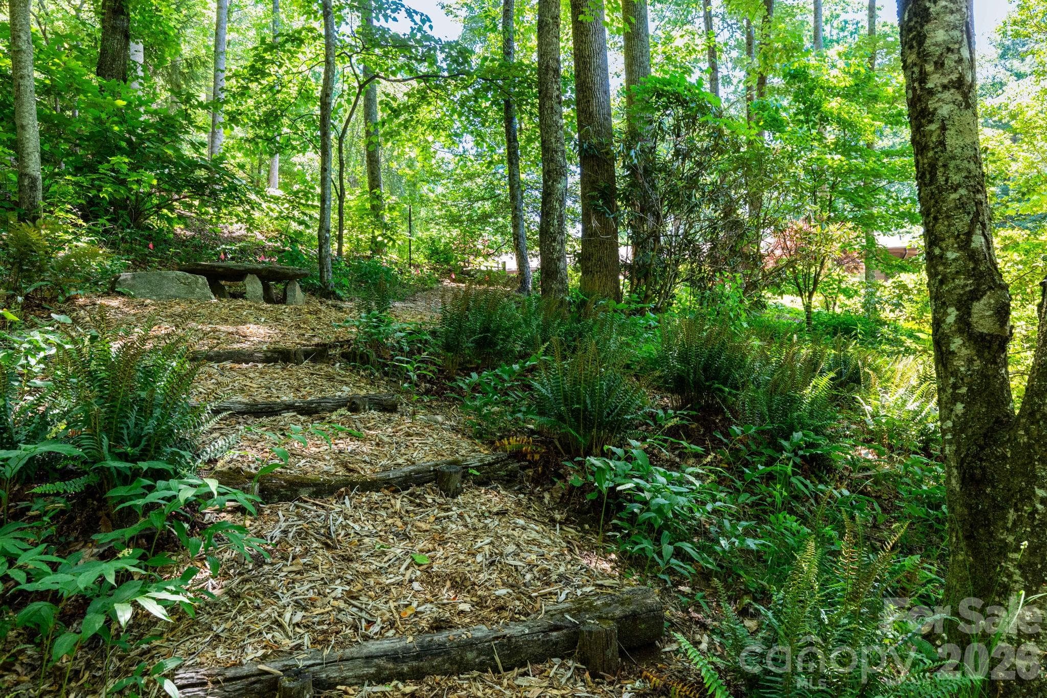 Thoughtfully designed meditation path winds through mature trees, ferns, and curated gardens, offering quiet moments of reflection. - 29 Gardner Drive, Asheville