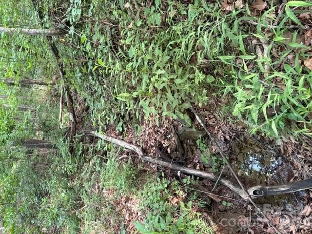 Lot at 00 Cardinal Circle, Tryon, photo 3 of 6