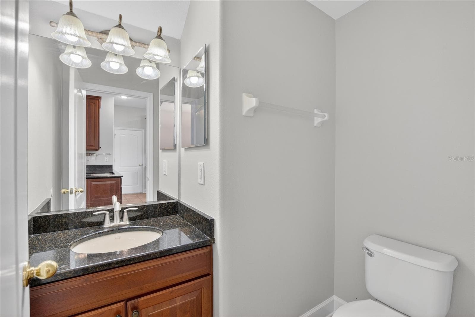 Powder room off of Kitchen - 21040 GREEN WING CT, LAND O LAKES